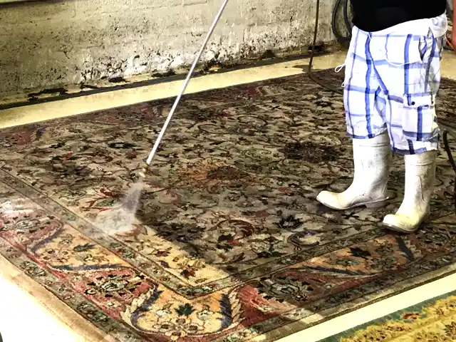 Oriental Rug Clean Service Hollywood
