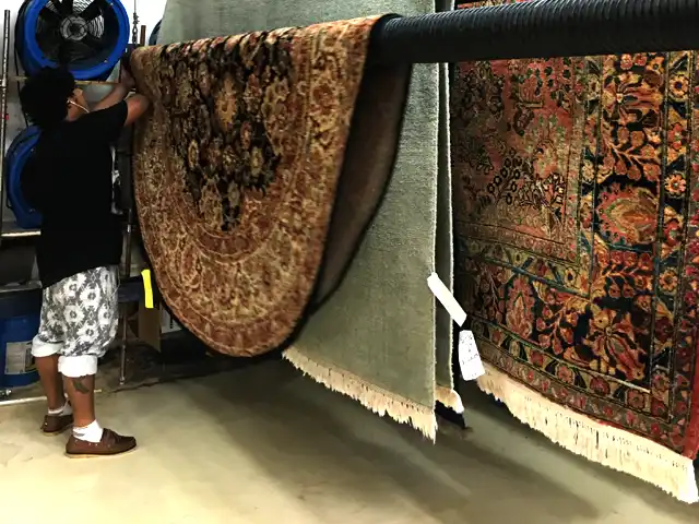 Rug Drying Service Hollywood