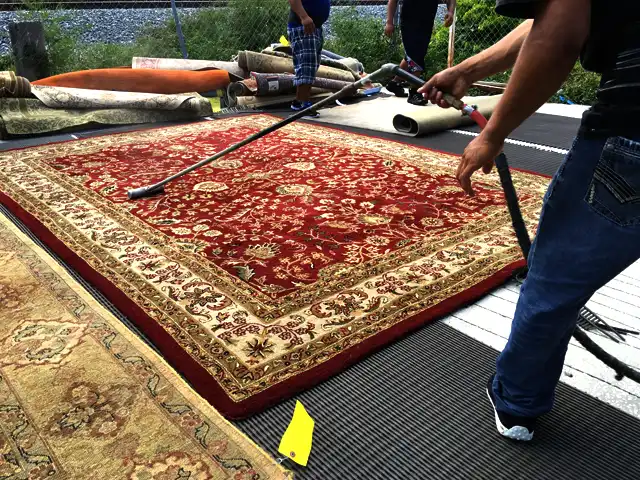 Rug Dusting Service Hollywood