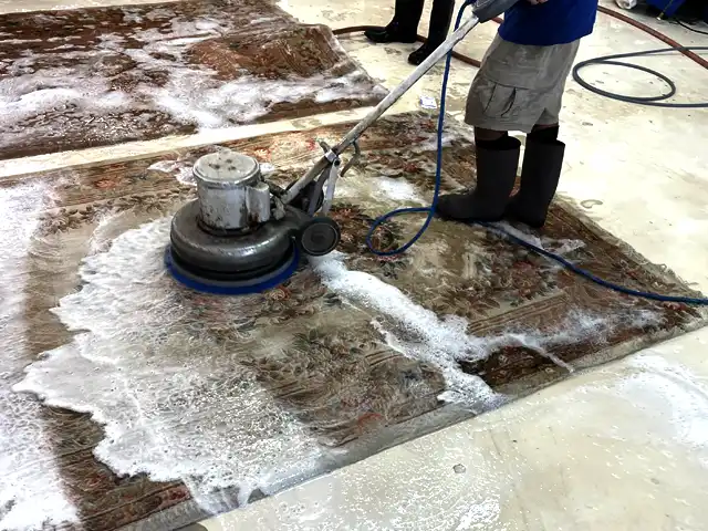 Rug Pet Odor Removal Service Hollywood