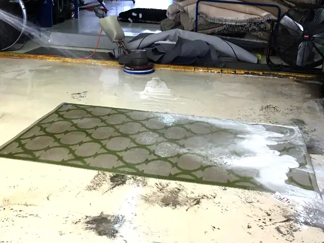Rug Washing Service Hollywood