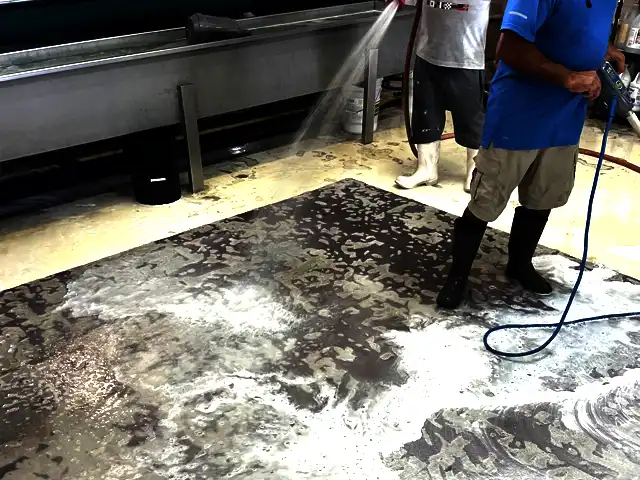 Modern Rug Cleaning Service Modern Rug Cleaning Service