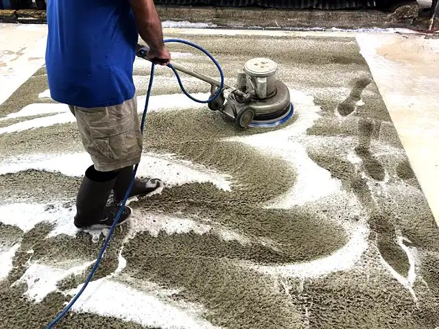 Rug Pet Odor Removal Service Rug Pet Odor Removal Service
