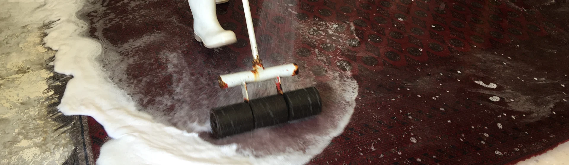 Rug Pet Odor & Stain Removal Services Hollywood